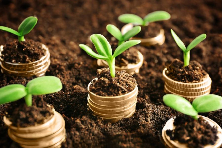 Finance durable : Le greenwashing s'invite dans les fonds "responsables" des banques