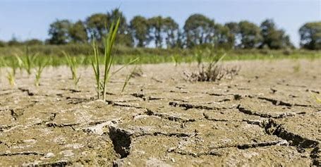 OMONDO SANTÉ : L'Amérique latine face à une épidémie de dengue sans précédent