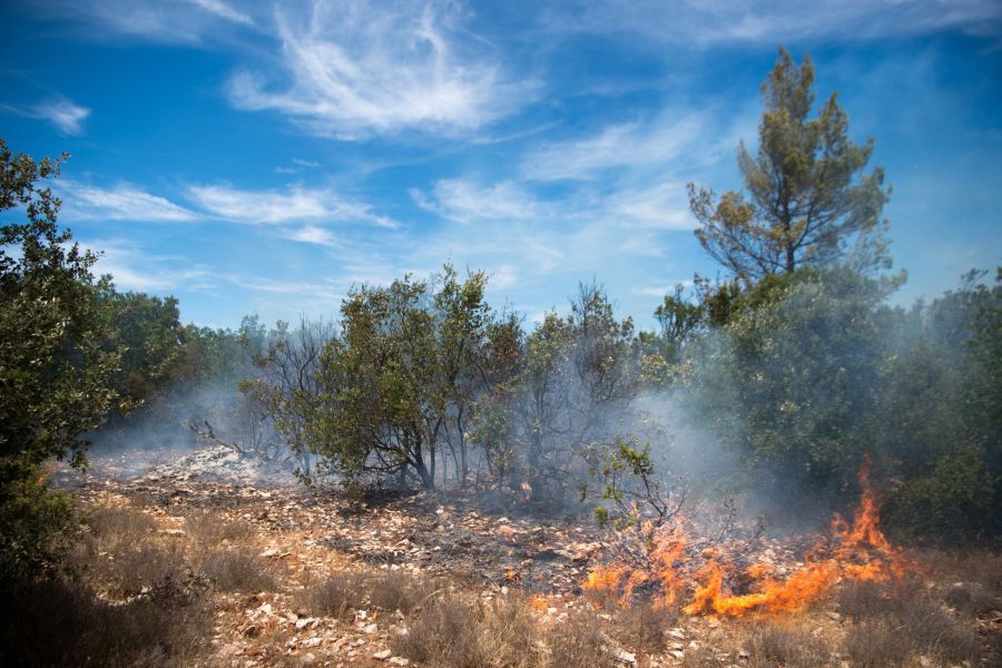 Incendie sur la base aérienne d'Istres : trois hectares partis en fumée, la plus grande base de France préservée