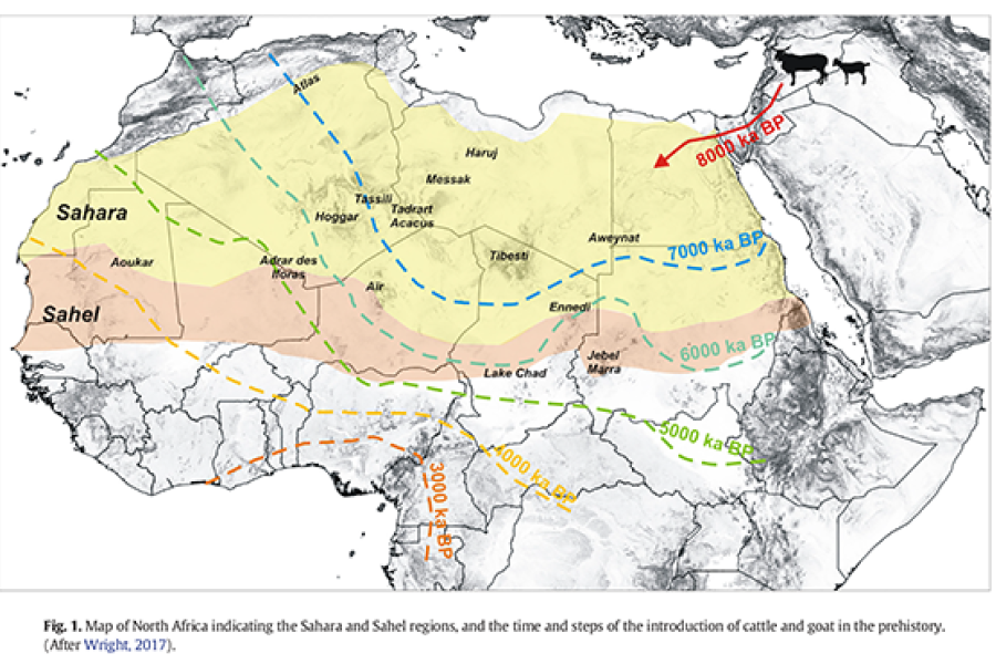 L’Embrasement du Croissant Fertile : Frappes sur les Ambassades et Réalité du Terrain