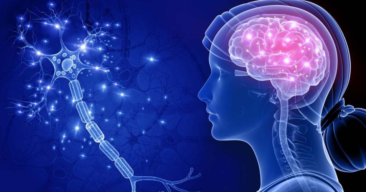 OMONDO SANTÉ - Un traitement révolutionnaire contre Alzheimer montre des résultats prometteurs en phase 3 des essais cliniques