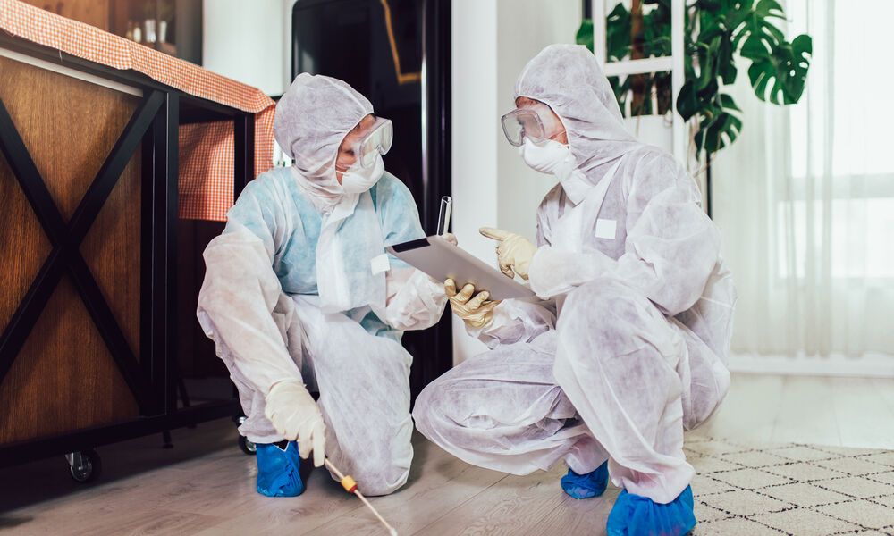 Deux touristes meurent après avoir été empoisonnées par des pesticides contre les punaises de lit dans une auberge - Enquête sur les normes de sécurité