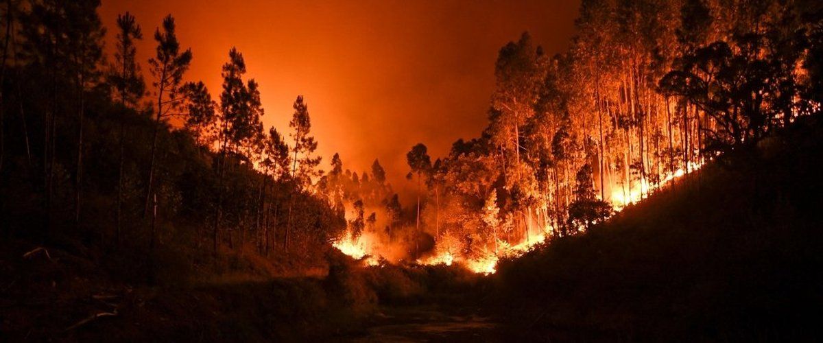 Portugal : incendies meurtriers, premier décès confirmé, mobilisation générale contre le feu