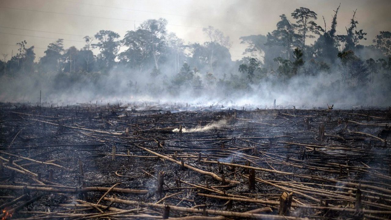 Les gigantesques incendies au Canada, en Amazonie et en Grèce ont été amplifiés par le réchauffement climatique