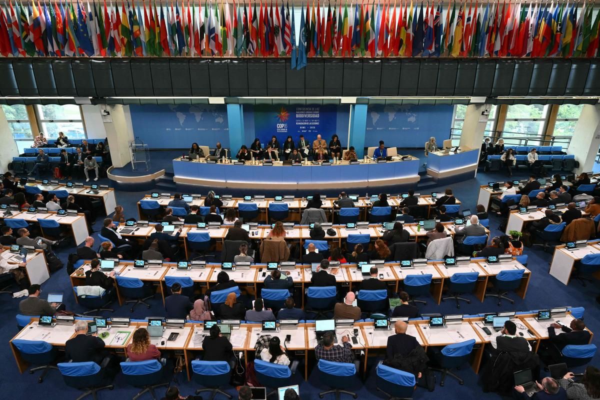 Le monde adopte de justesse un plan pour financer la sauvegarde de la nature