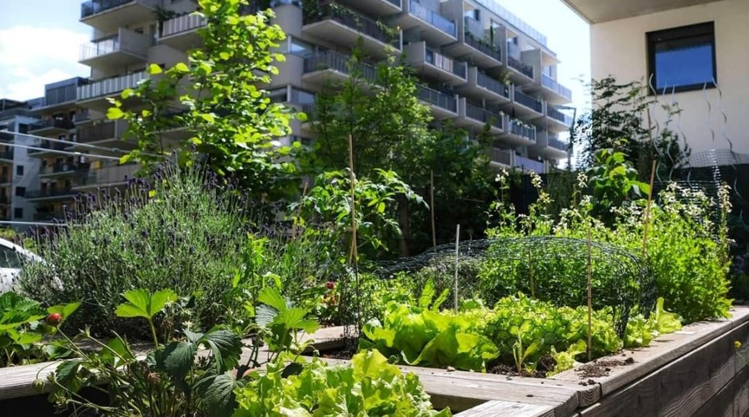 Transition écologique 2026 : les objectifs climatiques de Bruxelles bousculés par les réalités du marché