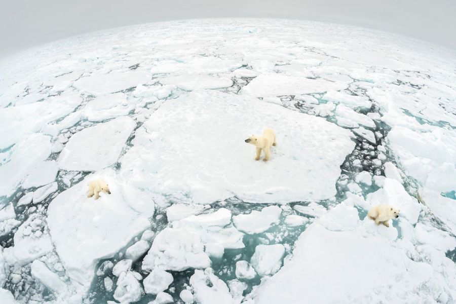 Réchauffement climatique et fonte des calottes glaciaires : Les projections alarmantes des climatologues pour l'horizon 2030