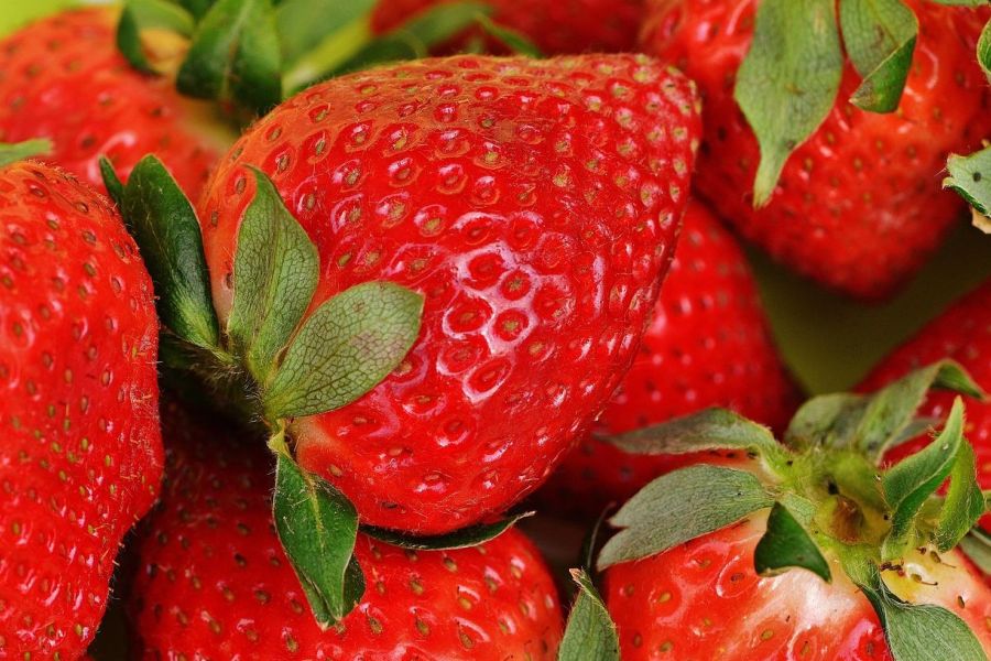 Rappel massif de fraises contaminées aux pesticides en France