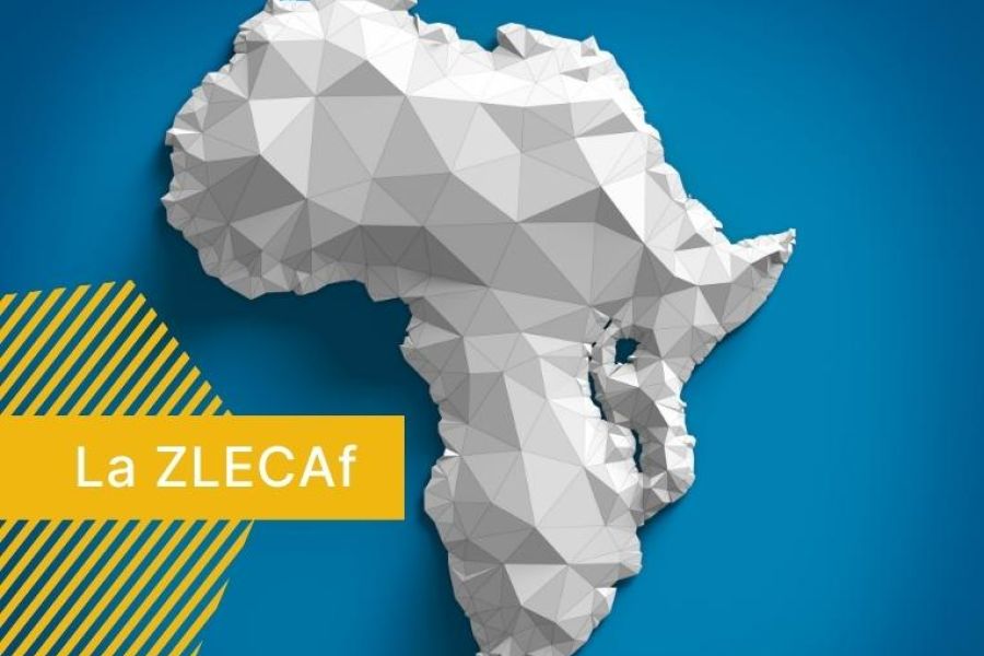 Afrique : La Zlecaf, l'éveil du géant commercial intra-africain