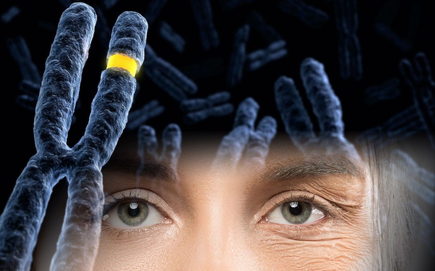 OMONDO SCIENCES - Découverte majeure : Des chercheurs identifient un composé capable de ralentir le vieillissement cellulaire
