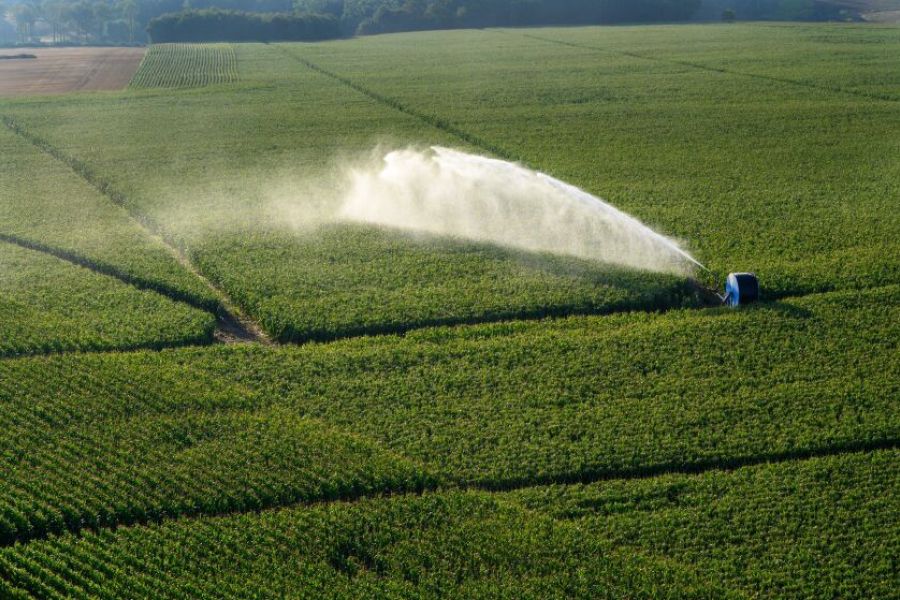 Agriculture et Climat : Les agriculteurs français face aux défis de l'irrigation et des sécheresses récurrentes