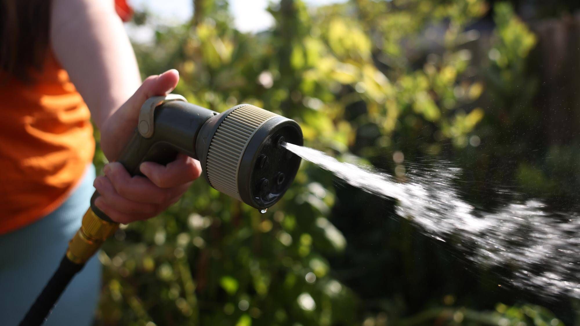 Royaume-Uni en proie à la sécheresse : suppression des mails, une mesure inédite pour économiser l’eau