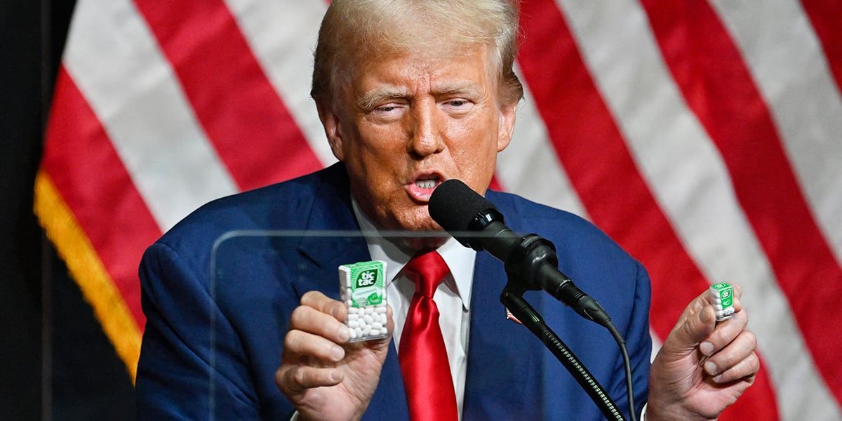 American Bitcoin : la start-up soutenue par les fils Trump bientôt cotée à Wall Street