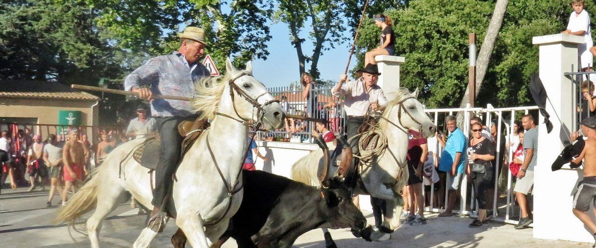 Gard : tragédie lors d’une fête votive – Un spectateur renversé mortellement par un cheval, un taureau, puis une voiture