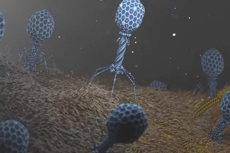 États-Unis : alerte sanitaire, forte augmentation des bactéries « cauchemardesques » résistances aux antibiotiques