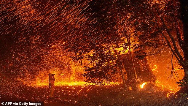Mégafeux en Californie et au Canada : Entre catastrophe et espoir