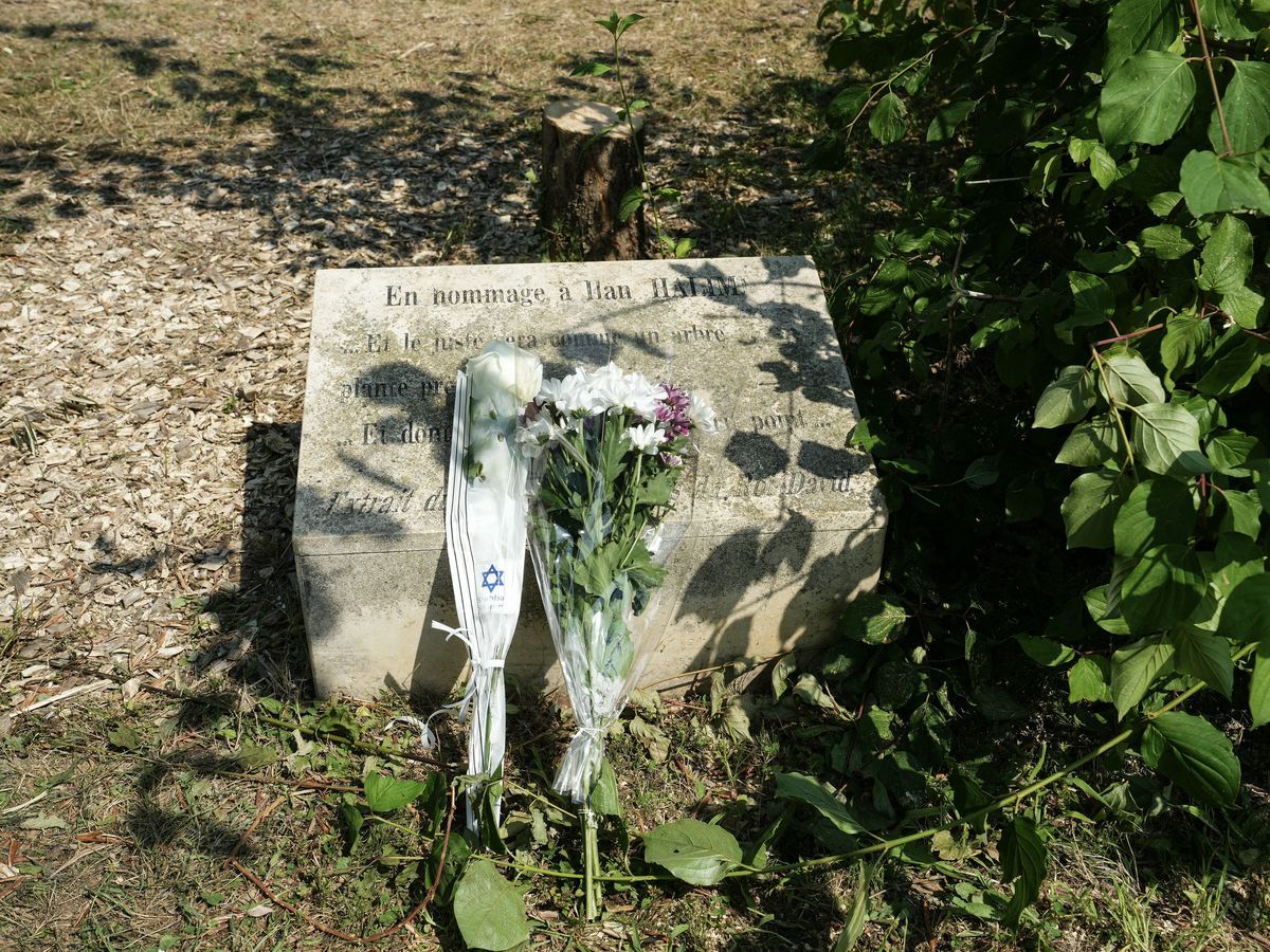 Deux hommes arrêtés après l’abattage d’un olivier en hommage à Ilan Halimi