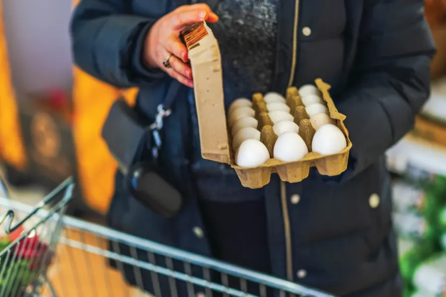 Aliments importés : L'assiette des Français sous la menace des toxines et des réseaux criminels — L'alerte rouge des Douanes pour 2026