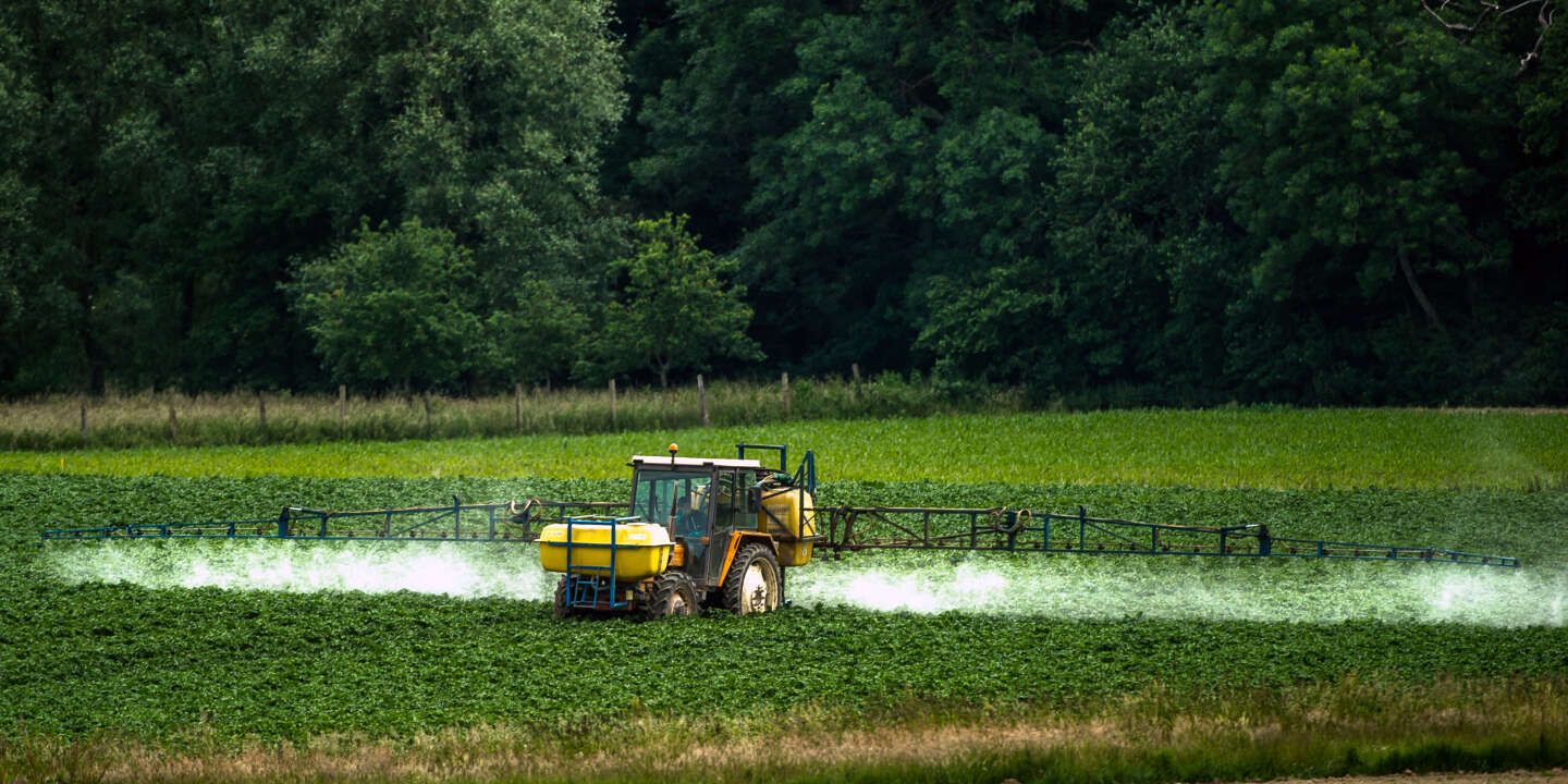 OMONDO SANTÉ - Royaume-Uni : l'inquiétante augmentation des pesticides dans l'alimentation post-Brexit