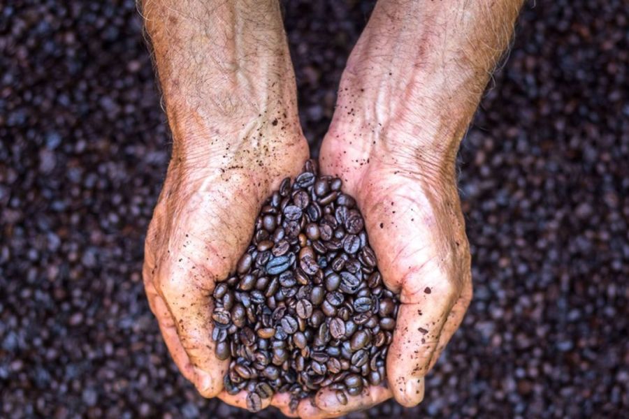 Crise des matières premières : Pourquoi le prix du café et du poivre explose en Europe