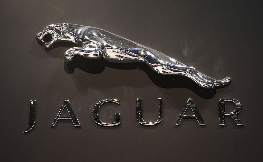 Jaguar épinglée pour sa nouvelle image jugée trop "woke" : un virage marketing qui divise