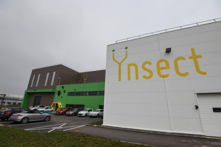 La start-up Ynsect supprime près de 140 postes – L’élevage d’insectes en France face à la réalité du marché