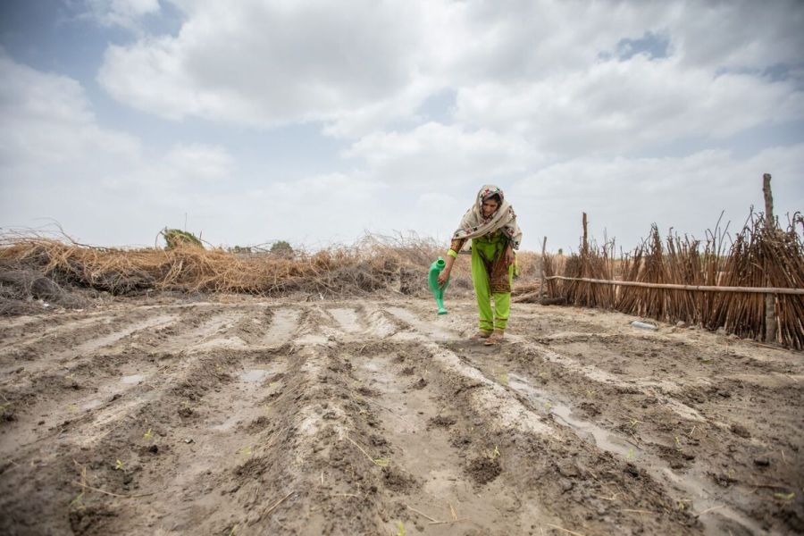 Les enjeux du secteur agricole français face à la crise climatique mondiale en 2025