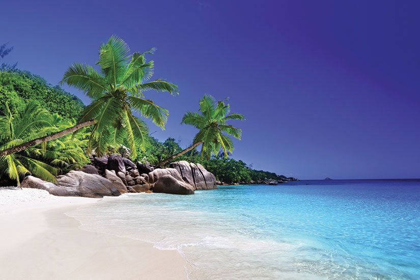 Omondo Voyages et Découvertes - Vivre la magie des Seychelles, l'île aux vents