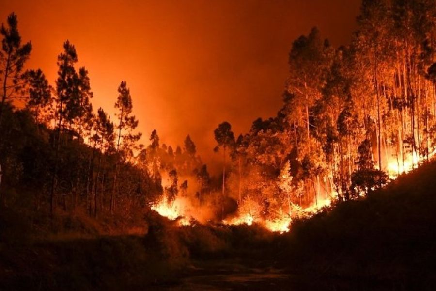 Portugal : incendies meurtriers, premier décès confirmé, mobilisation générale contre le feu