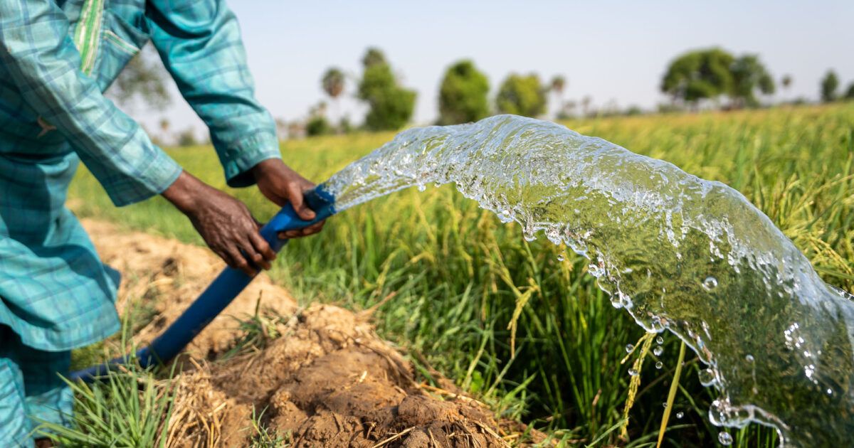 LA SÉCURITÉ ALIMENTAIRE MONDIALE ET L'AGRICULTURE DE PRÉCISION