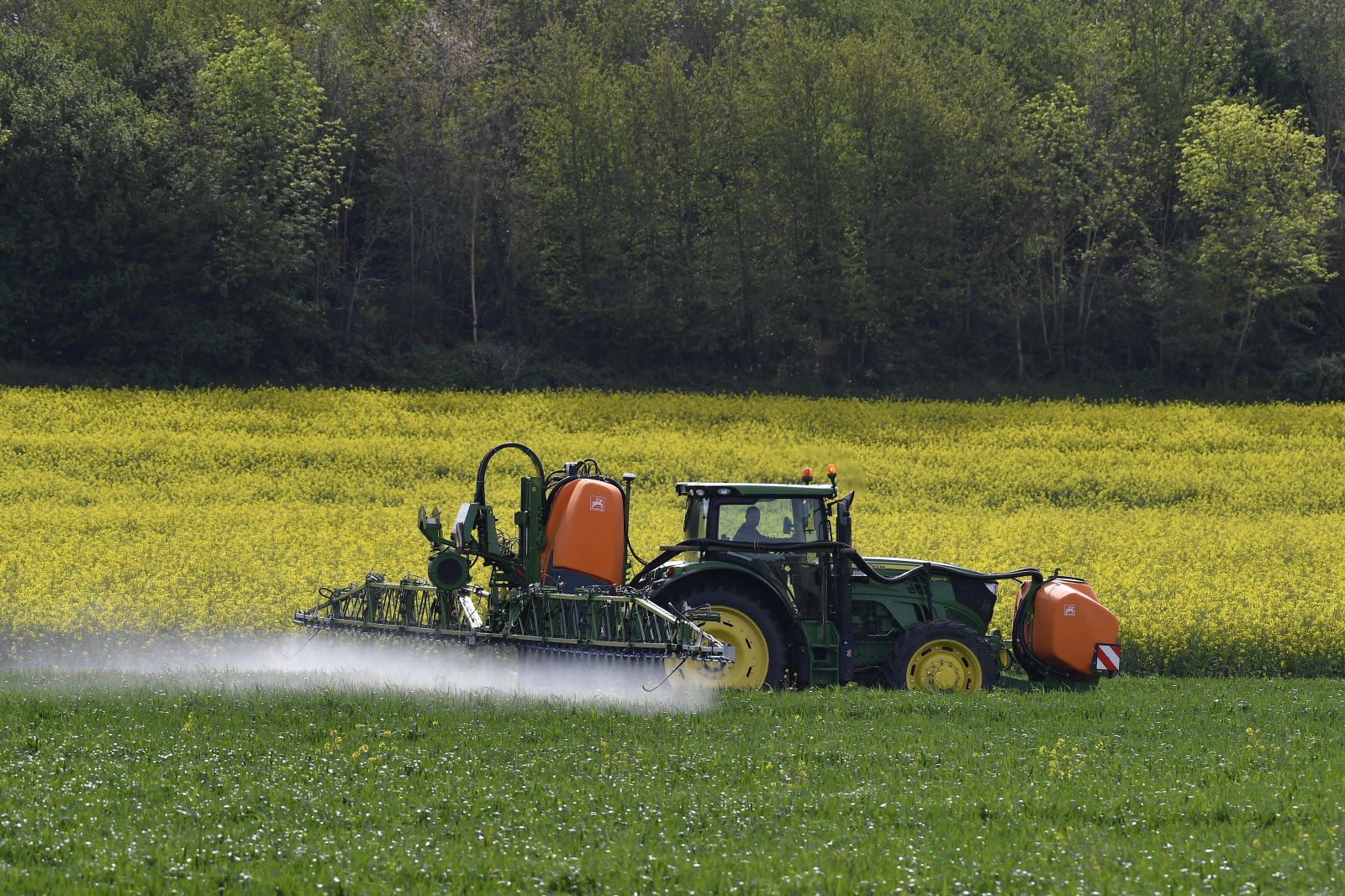 Loi Duplomb, la réintroduction d’un pesticide, compromis politique ou recul écologique ?