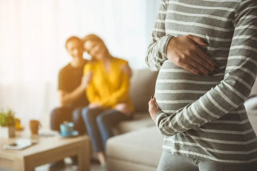 Gestation pour autrui et opinion publique : la société française est-elle prête après le Mariage pour tous ?