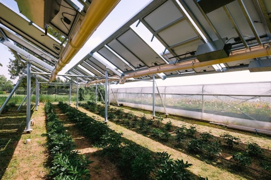 Sécheresse et Agriculture : Comment l'Irrigation Connectée Peut Sauver les Récoltes Globales