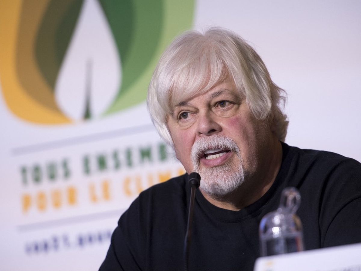France : refus d'asile politique au militant écologiste Paul Watson, une controverse internationale