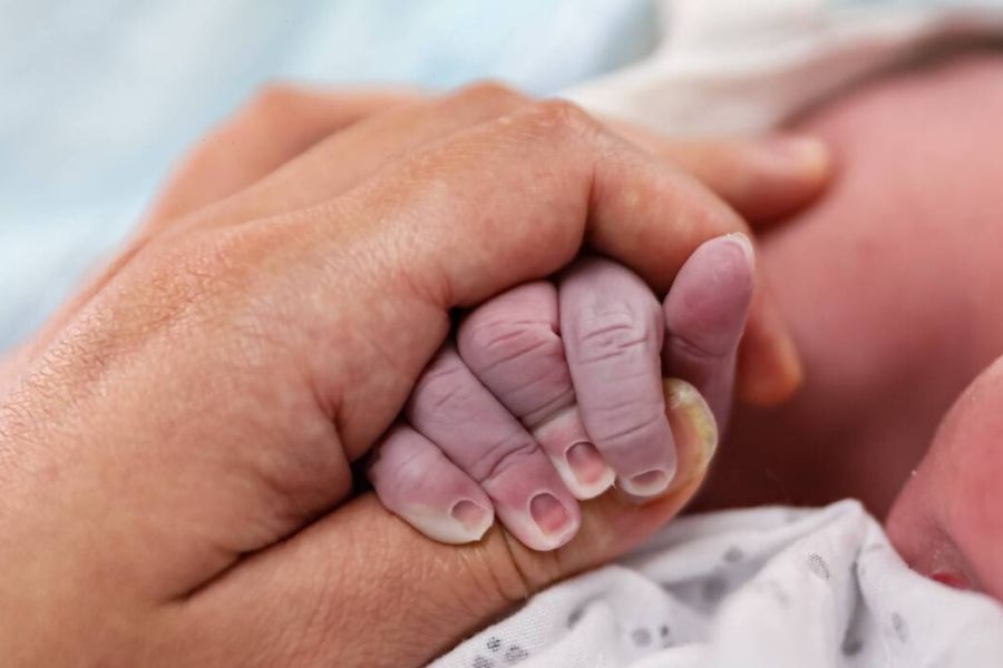 Taux de fécondité et de natalité en hausse en 2024, une lueur d'espoir après des années de déclin ?