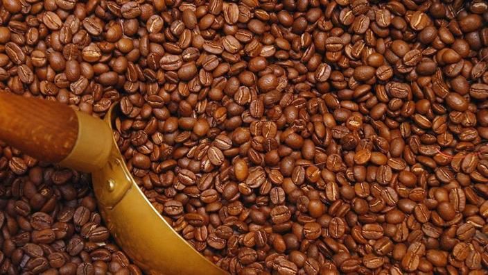 Le cours du cacao atteint son plus haut niveau à la bourse de new york