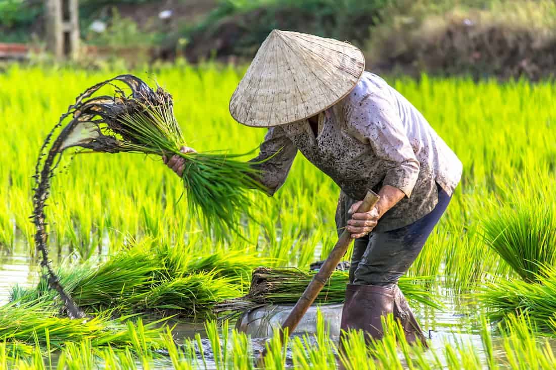 Tourisme et expansion économique et culturelle ; Le Vietnam : Un Modèle de Réussite Économique et Culturelle