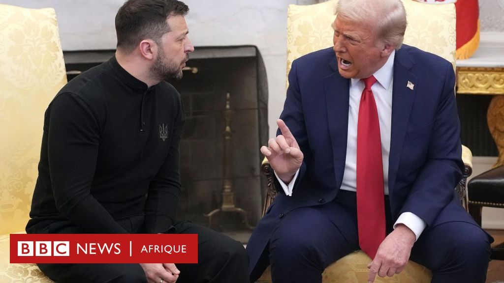 Les États-Unis pourraient devenir «propriétaires» des centrales électriques ukrainiennes, propose Donald Trump