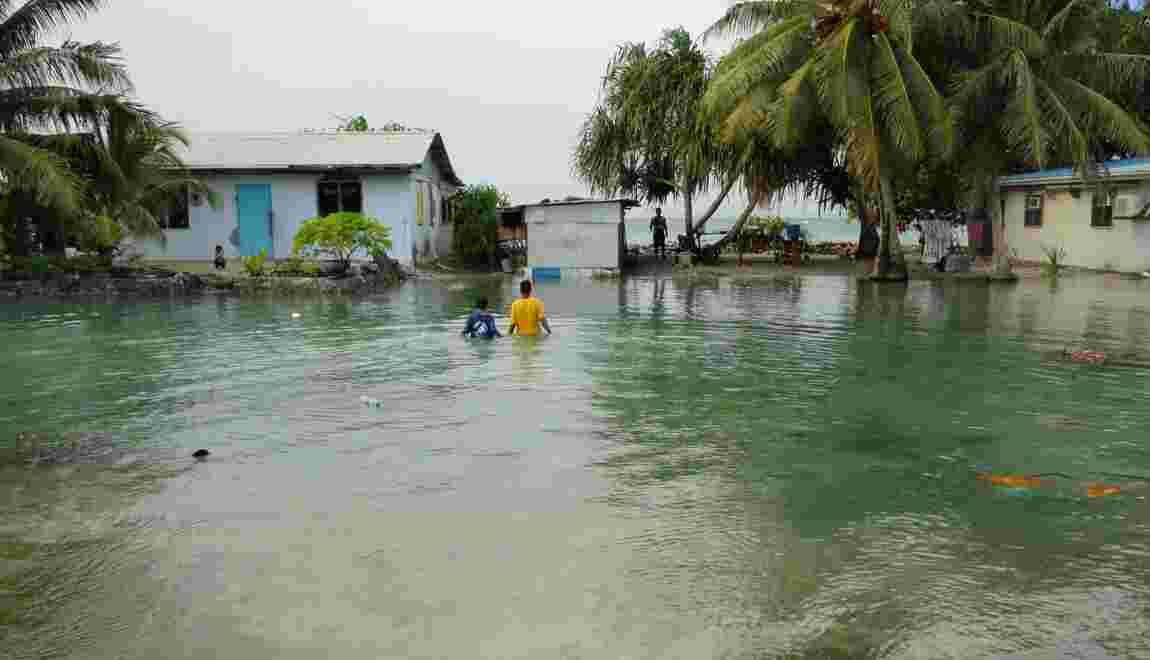 OMONDO ENVIRONNEMENT - Les îles du Pacifique face à la montée des eaux : Stratégies de résilience et d'adaptation climatique