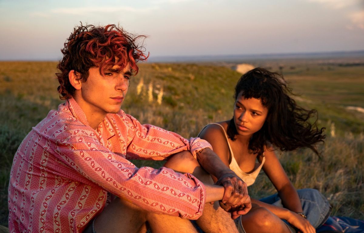 OMONDO CINÉMA - Timothée Chalamet : Portrait d'un jeune prodige qui redéfinit le star-system hollywoodien