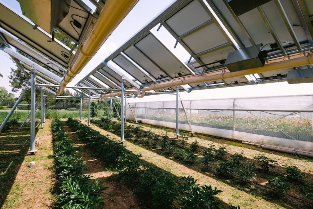 Agriculture de Précision et Innovation : Comment les Nouvelles Technologies Sauvent les Récoltes Face à la Sécheresse