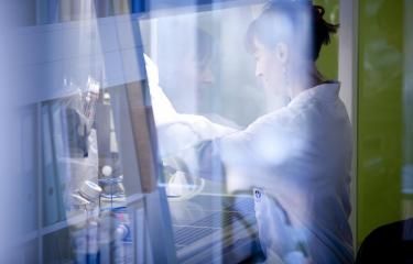 Épidémie de grippe 2025 - Un fléchissement tardif mais significatif